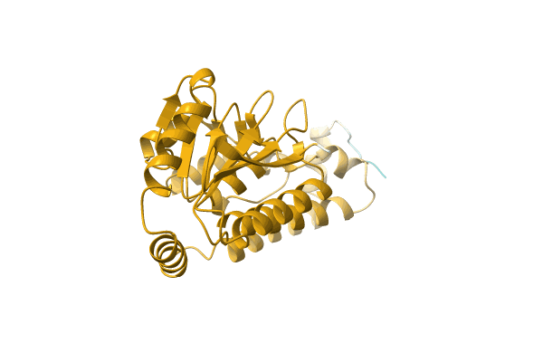 AF-A0A1Q4U1K9-F1 image