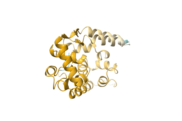 AF-A0A1Q4U1M5-F1 image