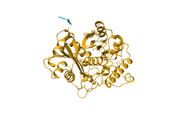 AF-A0A1Q4U1Q9-F1 image