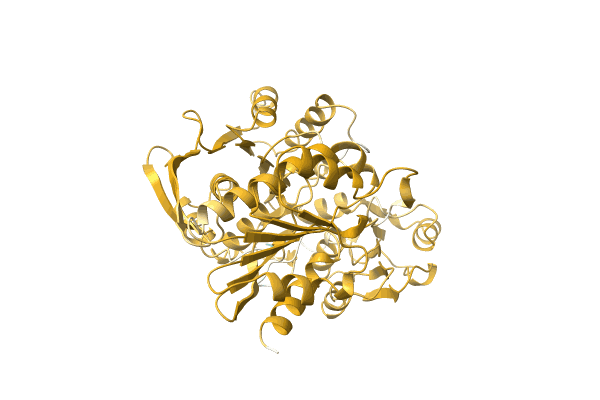 AF-A0A1Q4ZJ97-F1 image