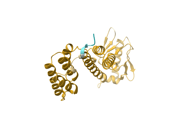 AF-A0A1Q5CCL2-F1 image