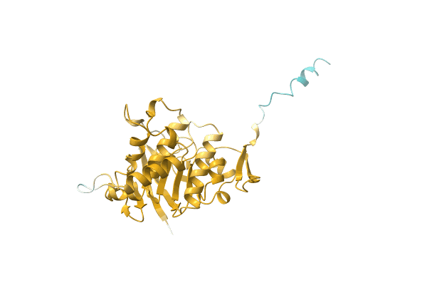 AF-A0A1Q5CCL5-F1 image