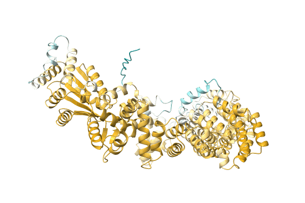 AF-A0A1Q5CCL7-F1 image