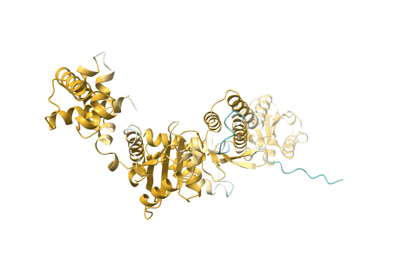 AF-A0A1Q5CCQ2-F1 image