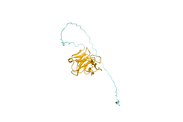 AF-A0A1Q5K671-F1 image