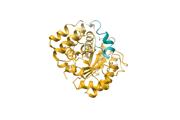 AF-A0A1Q5VCE6-F1 image