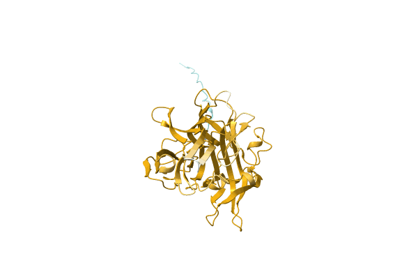 AF-A0A1Q6EF08-F1 image