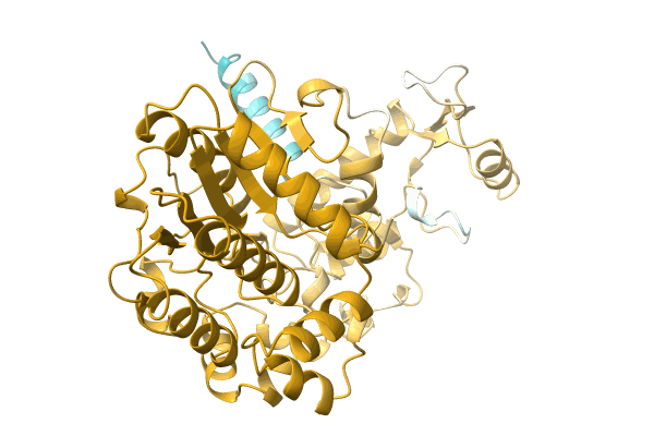 AF-A0A1Q6F453-F1 image