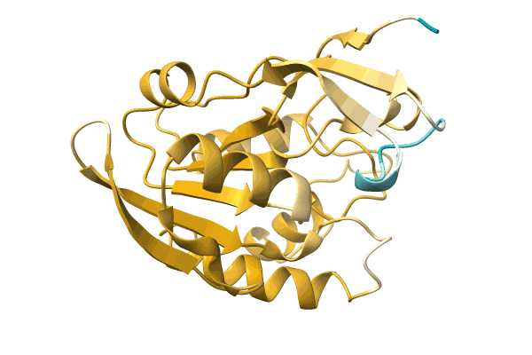 AF-A0A1Q6F482-F1 image