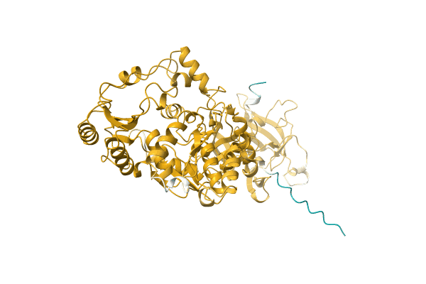 AF-A0A1Q6GWV9-F1 image