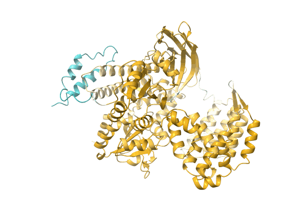 AF-A0A1Q6IDV3-F1 image