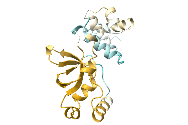 AF-A0A1Q6IDY4-F1 image