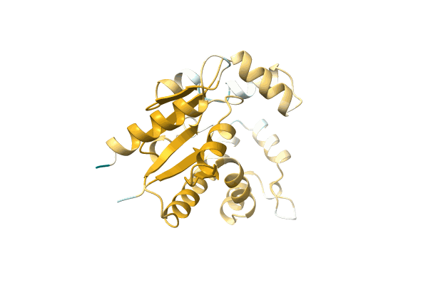 AF-A0A1Q6IDY6-F1 image