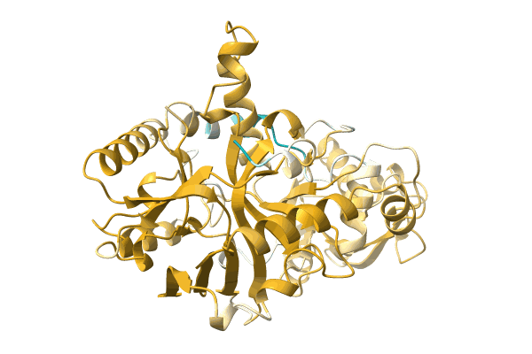 AF-A0A1Q6QCY0-F1 image