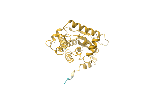 AF-A0A1Q6QH41-F1 image