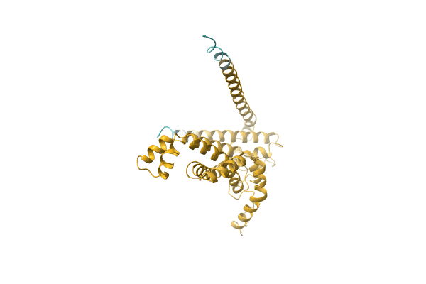 AF-A0A1Q6QH49-F1 image