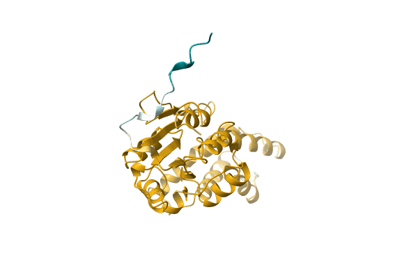 AF-A0A1Q7GH21-F1 image