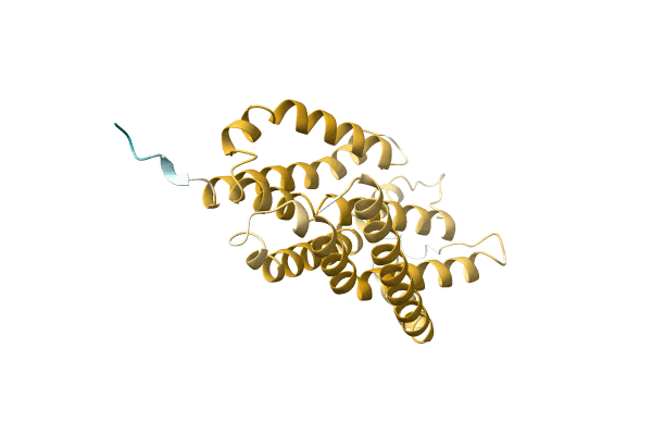 AF-A0A1Q7JMX5-F1 image