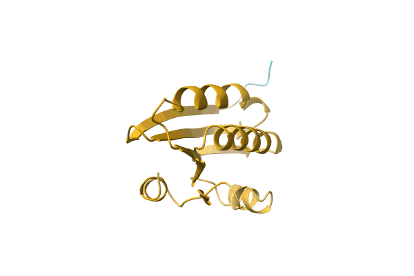 AF-A0A1Q7T5K4-F1 image