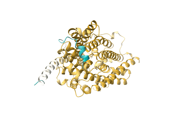 AF-A0A1Q7T5Q8-F1 image