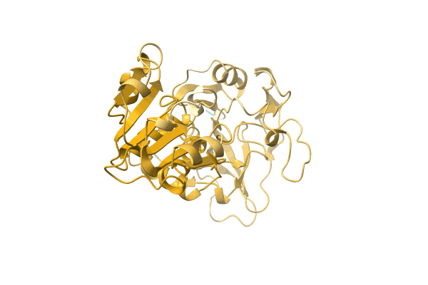 AF-A0A1Q7T5S8-F1 image