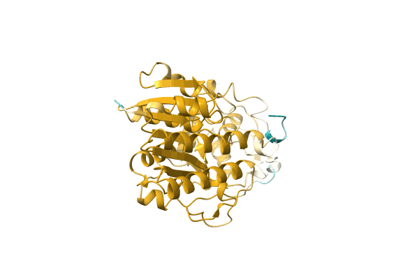 AF-A0A1Q8B592-F1 image