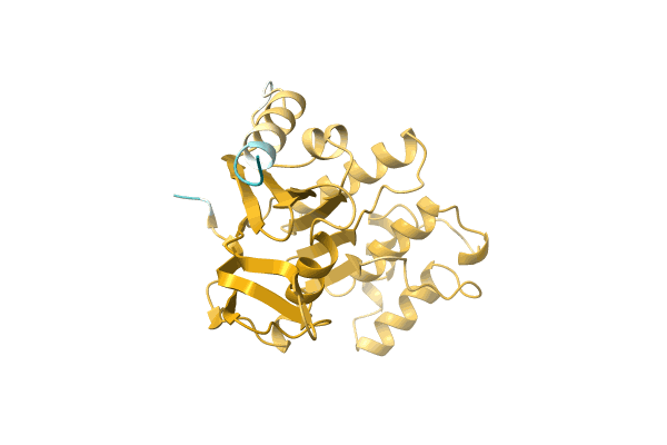 AF-A0A1Q9J1J5-F1 image