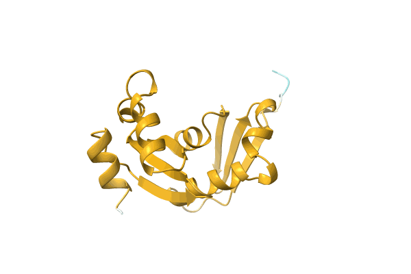 AF-A0A1Q9NBS9-F1 image