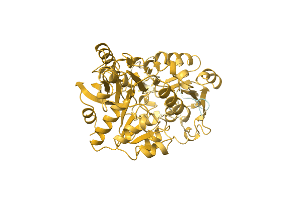 AF-A0A1Q9NBT5-F1 image