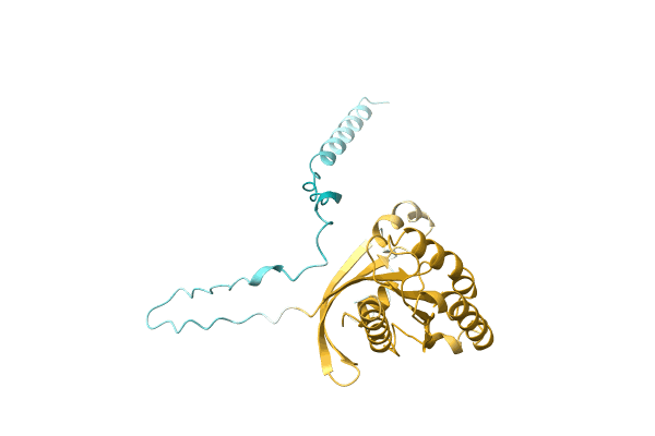 AF-A0A1Q9NBU2-F1 image