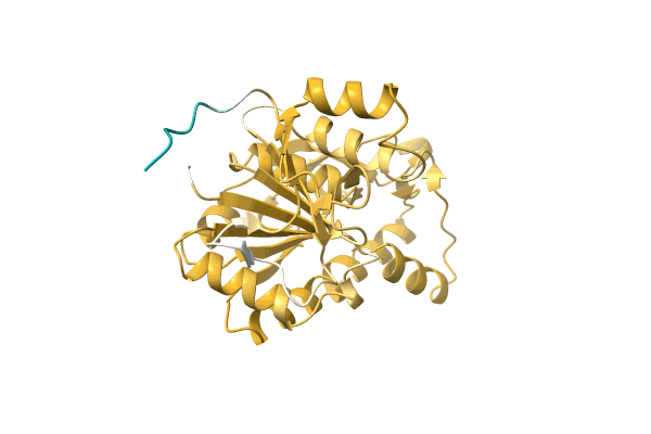 AF-A0A1Q9PYU9-F1 image