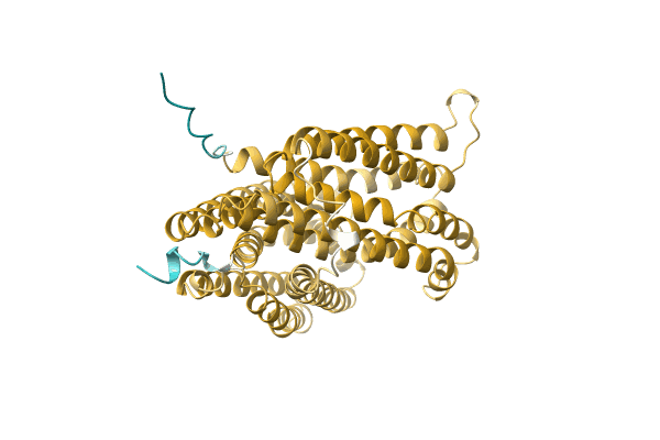 AF-A0A1Q9PYV0-F1 image