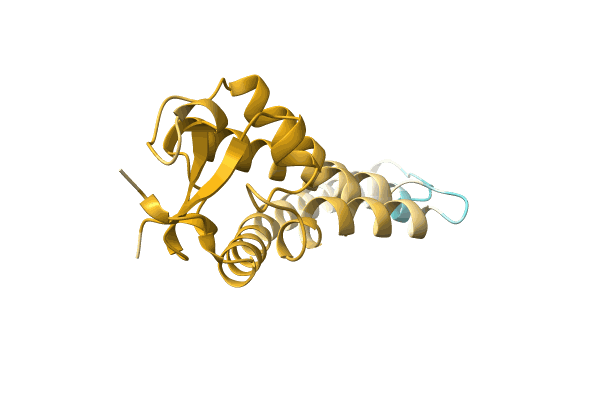 AF-A0A1Q9TYB6-F1 image