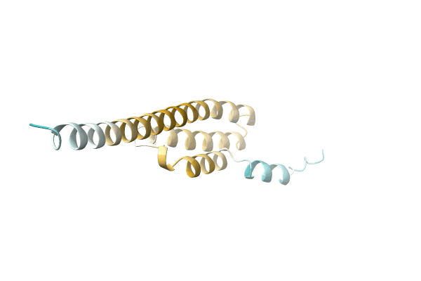 AF-A0A1Q9U4Y8-F1 image