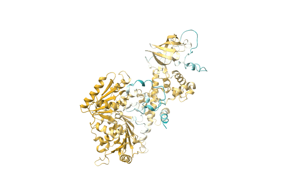 AF-A0A1Q9U4Z2-F1 image