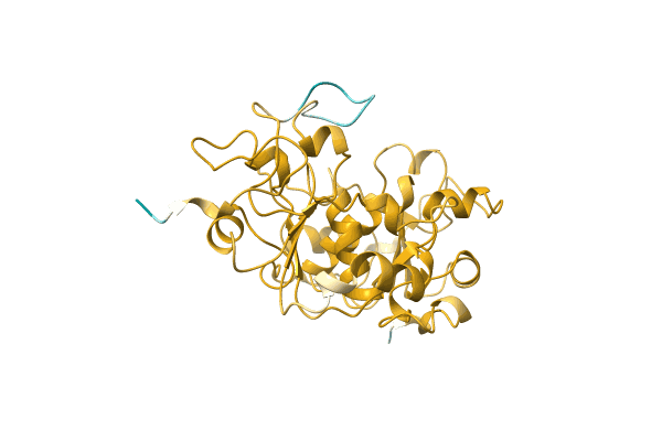 AF-A0A1Q9U6S4-F1 image