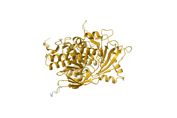 AF-A0A1R3RGJ2-F1 image