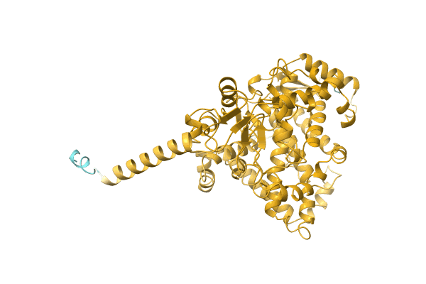 AF-A0A1R3RGJ7-F1 image