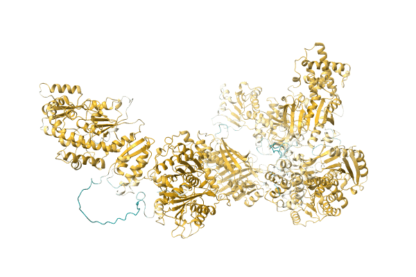 AF-A0A1R3RGK0-F1 image