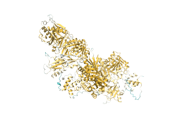 AF-A0A1R3RGK1-F1 image