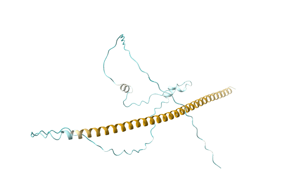 AF-A0A1R3RGK4-F1 image