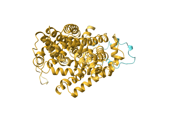 AF-A0A1R4ID31-F1 image