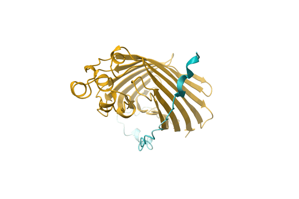AF-A0A1R4ID32-F1 image
