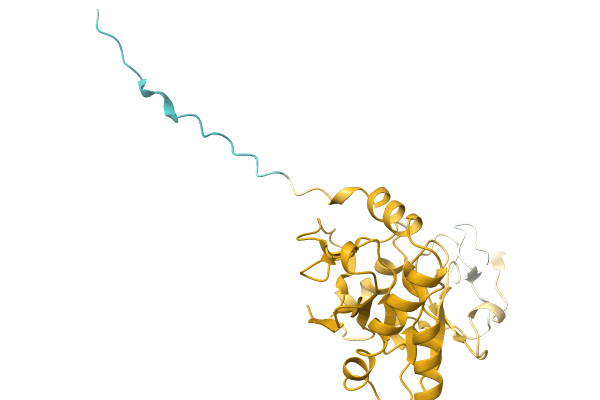 AF-A0A1R4ID54-F1 image