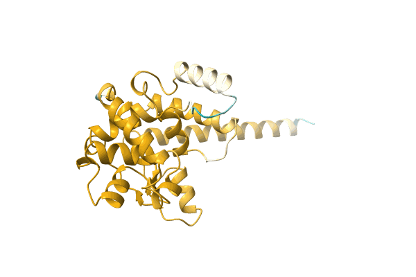 AF-A0A1R4ID88-F1 image