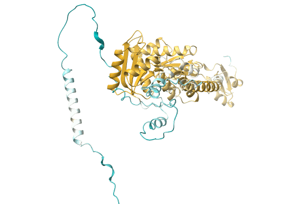 AF-A0A1R4IDX9-F1 image