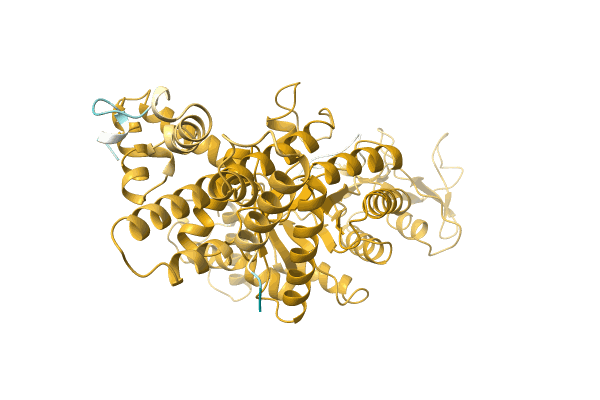 AF-A0A1R4IE07-F1 image