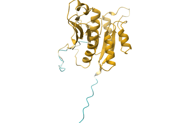 AF-A0A1R4IEA7-F1 image