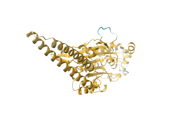 AF-A0A1R4IEE7-F1 image