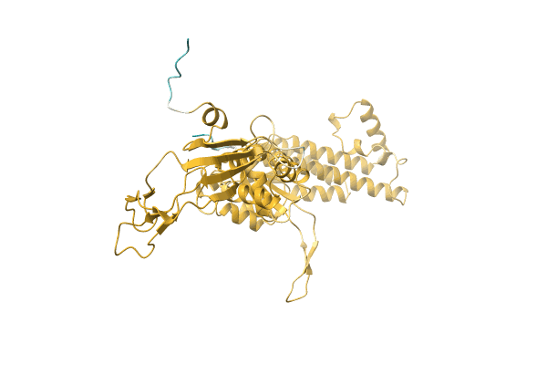 AF-A0A1R4IEF0-F1 image